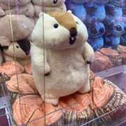 みつき 昨日もありがとう💕 buzz-B