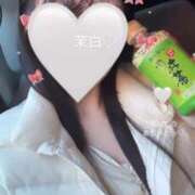 ヒメ日記 2024/12/17 17:02 投稿 茉白【マシロ】 LOVEキタ兎我野店