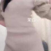 ヒメ日記 2024/12/20 18:59 投稿 茉白【マシロ】 LOVEキタ兎我野店