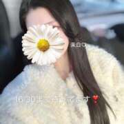 ヒメ日記 2025/03/18 12:29 投稿 茉白【マシロ】 LOVEキタ兎我野店