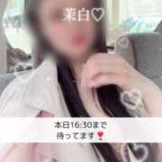 ヒメ日記 2025/05/07 12:29 投稿 茉白【マシロ】 LOVEキタ兎我野店