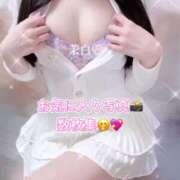 ヒメ日記 2025/06/07 12:50 投稿 茉白【マシロ】 LOVEキタ兎我野店