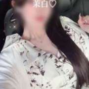 ヒメ日記 2025/07/05 14:30 投稿 茉白【マシロ】 LOVEキタ兎我野店