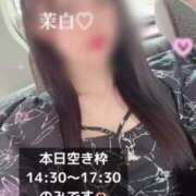 ヒメ日記 2025/07/06 13:20 投稿 茉白【マシロ】 LOVEキタ兎我野店