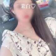 ヒメ日記 2025/09/02 13:16 投稿 茉白【マシロ】 LOVEキタ兎我野店