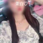 ヒメ日記 2025/09/16 12:42 投稿 茉白【マシロ】 LOVEキタ兎我野店