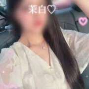 ヒメ日記 2025/09/17 15:22 投稿 茉白【マシロ】 LOVEキタ兎我野店