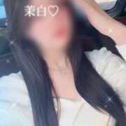 ヒメ日記 2025/11/16 13:43 投稿 茉白【マシロ】 LOVEキタ兎我野店