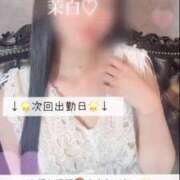 茉白【マシロ】 💗次回6月3日出勤です💗 LOVEキタ兎我野店