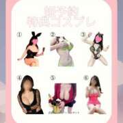 ヒメ日記 2025/05/11 01:15 投稿 愛花 さくら RANUNCULUS(ラナンキュラス)