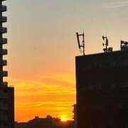 ヒメ日記 2025/09/25 05:55 投稿 愛花 さくら RANUNCULUS(ラナンキュラス)