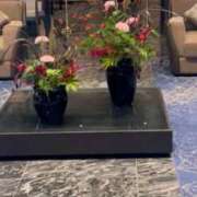 ヒメ日記 2025/10/03 02:25 投稿 愛花 さくら RANUNCULUS(ラナンキュラス)