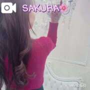 ヒメ日記 2025/12/25 21:35 投稿 愛花 さくら RANUNCULUS(ラナンキュラス)