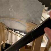 ヒメ日記 2026/02/27 03:05 投稿 愛花 さくら RANUNCULUS(ラナンキュラス)