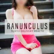 ヒメ日記 2026/07/28 12:05 投稿 愛花 さくら RANUNCULUS(ラナンキュラス)