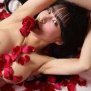 ヒメ日記 2026/02/19 12:02 投稿 ことね エクセレントクラブ男爵