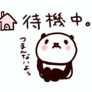 ヒメ日記 2025/05/17 16:45 投稿 らん 妻天 日本橋店