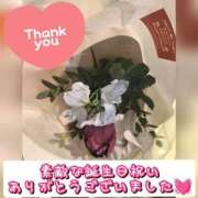 ヒメ日記 2026/01/29 16:37 投稿 杉咲 熟女の風俗最終章 新横浜店