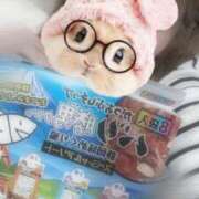 ヒメ日記 2025/04/01 15:29 投稿 りほ ぐっどがーる浜松店