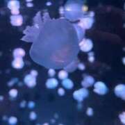 りほ ♡ありがとう😭😭😭💖♡ ぐっどがーる浜松店