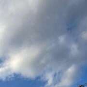 ヒメ日記 2024/12/17 16:07 投稿 イト おもいっきり甘えさせてくれるおっぱい