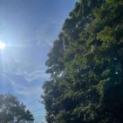 ヒメ日記 2024/12/20 14:27 投稿 イト おもいっきり甘えさせてくれるおっぱい