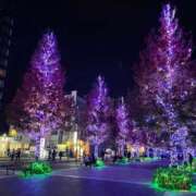 ヒメ日記 2024/12/25 08:57 投稿 イト おもいっきり甘えさせてくれるおっぱい