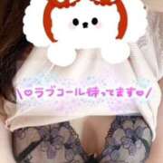 ヒメ日記 2025/02/09 06:58 投稿 浜野真鈴 五十路マダム 徳島店