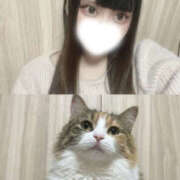 ヒメ日記 2026/01/28 20:00 投稿 きらり めちゃカワ女子 小田原早川店