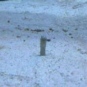 ヒメ日記 2025/07/14 13:20 投稿 みほ 池袋マリン別館