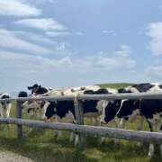 ヒメ日記 2025/10/07 00:15 投稿 みほ 池袋マリン別館