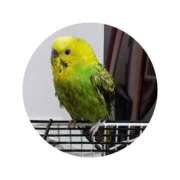 ヒメ日記 2025/06/27 13:58 投稿 ほなみ モアグループ川越人妻花壇