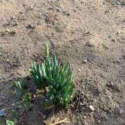 ヒメ日記 2025/02/18 16:04 投稿 しおみ 即アポ奥さん～浜松店～