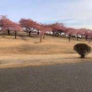 ヒメ日記 2026/03/14 21:14 投稿 しおみ 即アポ奥さん～浜松店～