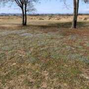 ヒメ日記 2026/03/30 10:04 投稿 しおみ 即アポ奥さん～浜松店～