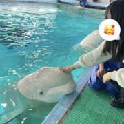 ヒメ日記 2026/02/08 14:00 投稿 みゆき アイドルリーグ