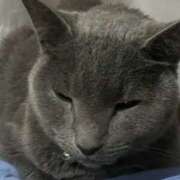 ヒメ日記 2026/03/24 02:00 投稿 みゆき アイドルリーグ