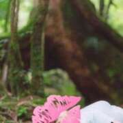 ヒメ日記 2024/12/17 18:49 投稿 ふみ あとりえ(ATELIER)