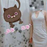 ヒメ日記 2024/12/25 14:00 投稿 ふみ あとりえ(ATELIER)