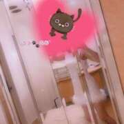 ヒメ日記 2024/12/26 21:12 投稿 ふみ あとりえ(ATELIER)