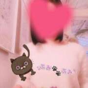 ヒメ日記 2025/01/06 21:46 投稿 ふみ あとりえ(ATELIER)