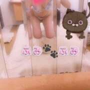 ヒメ日記 2025/01/15 21:32 投稿 ふみ あとりえ(ATELIER)