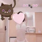 ヒメ日記 2025/01/16 16:00 投稿 ふみ あとりえ(ATELIER)