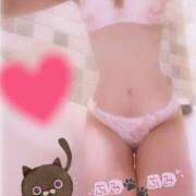 ヒメ日記 2025/01/20 11:07 投稿 ふみ あとりえ(ATELIER)