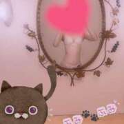 ヒメ日記 2025/02/03 21:07 投稿 ふみ あとりえ(ATELIER)