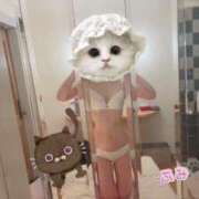 ヒメ日記 2025/02/23 22:56 投稿 ふみ あとりえ(ATELIER)