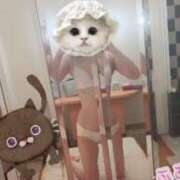 ヒメ日記 2025/02/23 23:10 投稿 ふみ あとりえ(ATELIER)