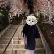 ヒメ日記 2025/03/12 20:08 投稿 ふみ あとりえ(ATELIER)