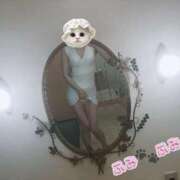 ヒメ日記 2025/03/20 17:16 投稿 ふみ あとりえ(ATELIER)