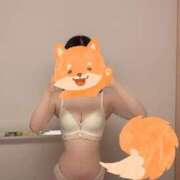 ヒメ日記 2025/03/24 21:04 投稿 ふみ あとりえ(ATELIER)